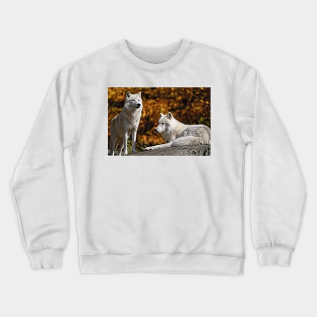 Timber Wolves Crewneck Sweatshirt by jaydee1400